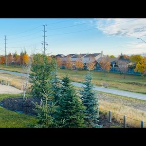 Meet your Posher, Chalani